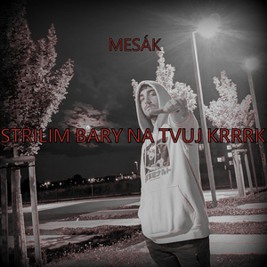 Single Střílim Bary Na Tvůj Krk
