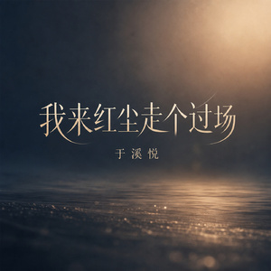 我来红尘走个过场