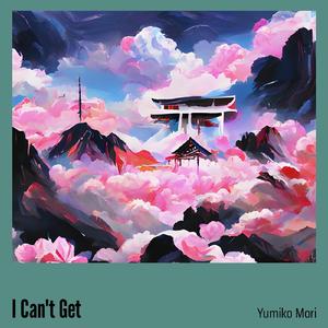 I Can't Get