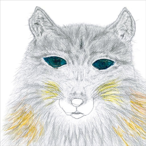 青い闇をまっさかさまにおちてゆく流れ星を知っている