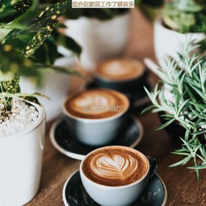 适合在读书天然的音乐