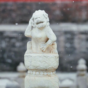 人海一眼的温柔