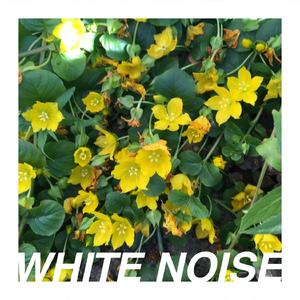 Radio Static Distortion