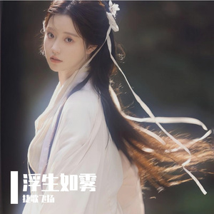 浮生如雾