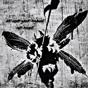 In The End (feat. djmizu) (remix)