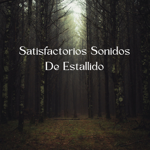 Desencadenantes De Audio