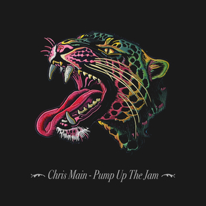 Pump up the Jam (Original Mix)