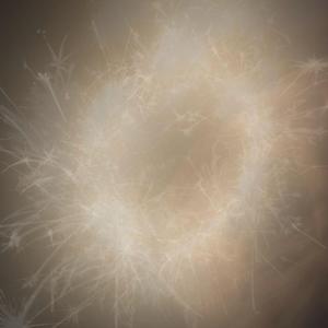 专属天使（翻自Tank）