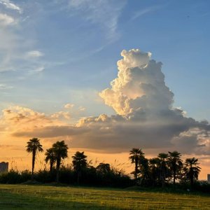天门神将薛仁贵