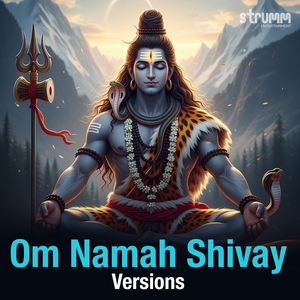 Om Namah Shivay