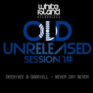 Never Say Never (Original Mix)