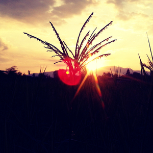 นักเดินทางแห่งสายลม