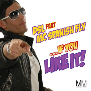 If You Like It (Will Bailey Vocal Dub)