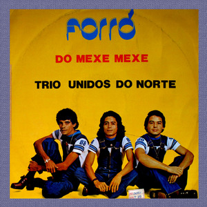Arrependida - TRIO UNIDOS DO NORTE