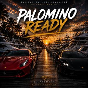 Palomino ready
