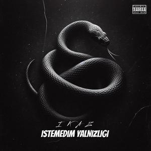 İSTEMEDİM YALNIZLIĞI (Speed Up Version)