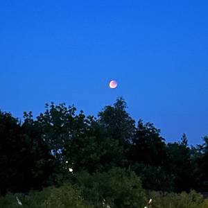 Heaven knows my name