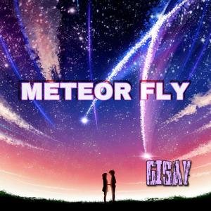 METEOR FLY