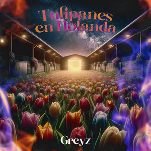 Tulipanes En Holanda