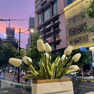 我的心在海对面（cover夏婉安&杨栋梁）