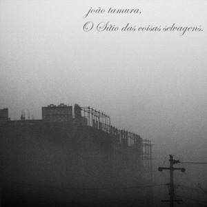 O Sítio das Coisas Selvagens