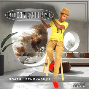 Ngathi sengyabuka (feat. Ntemnandi Weyintezimnandi)