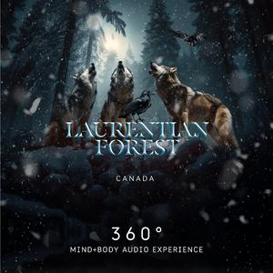 Laurentian Forest, Canada