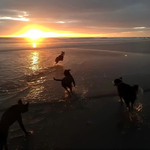 Holod - Coca Cola Zero