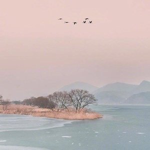 你说爱我的乖 又恨我的坏