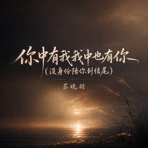 你中有我我中也有你(没身份陪你到结尾)