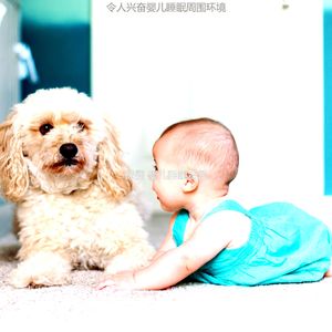 有趣午觉时间情怀