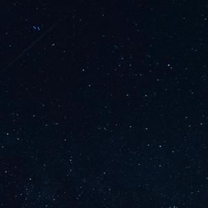 美好事物(Cover:房东的猫)