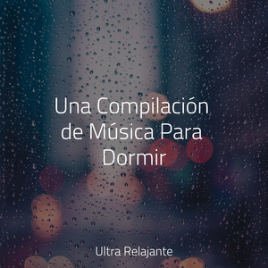 Tranquilidad Junto A La Playa