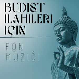 Budist Meditasyonu