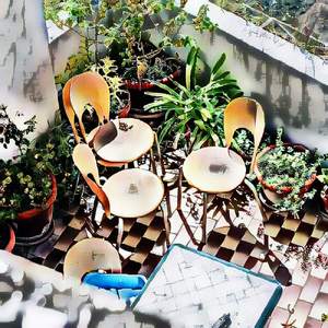 Tumai amar moina paki