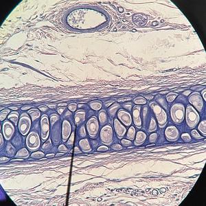 Stanger (feat. WakeUpCoy x Sim)