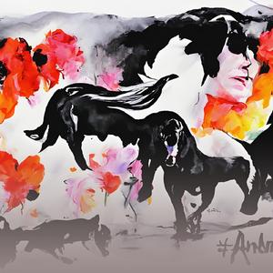 Placid Platinum Pilgrimage