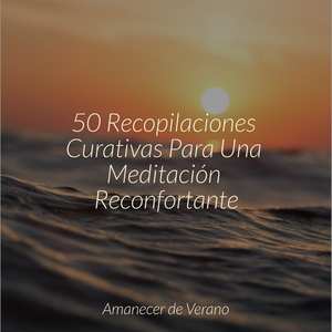 Sinfonía Solitaria del Mar