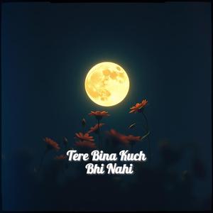 Tere Bina Kuch Bhi Nahi