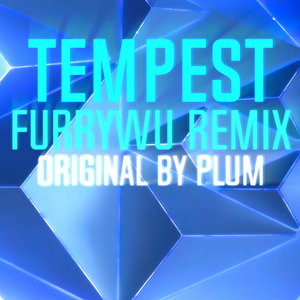 Plum - Melodic Artist - Tempest（福瑞老吴 remix）