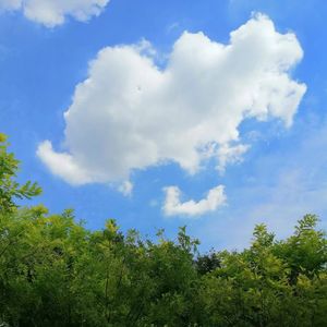 翠花（Prod.Lee）