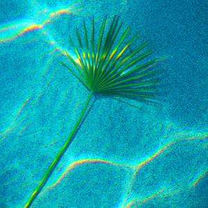 sunset blues (feat. Releks)