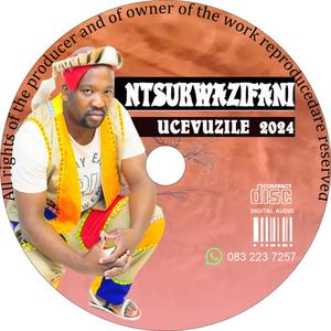 Ziyayixabanisa imindeni