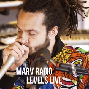 Levels (Live Version) (Live Version)