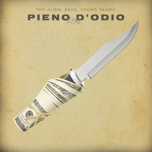 Pieno d'odio (Remix)
