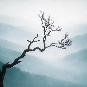 After We Let It Fade (feat. Zane Mercer)