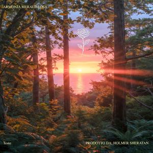 Armonía Meravillosa