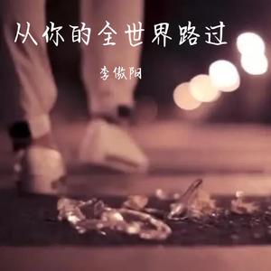 从你的全世界路过