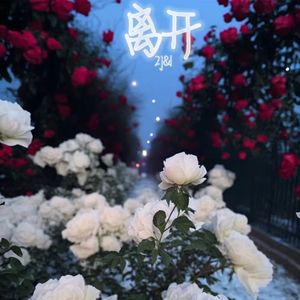 离开