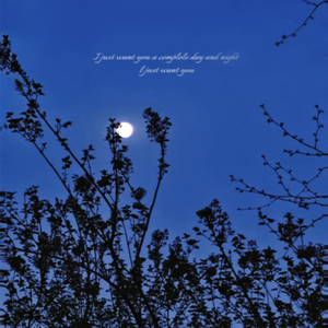 Q（Prod by 两只）